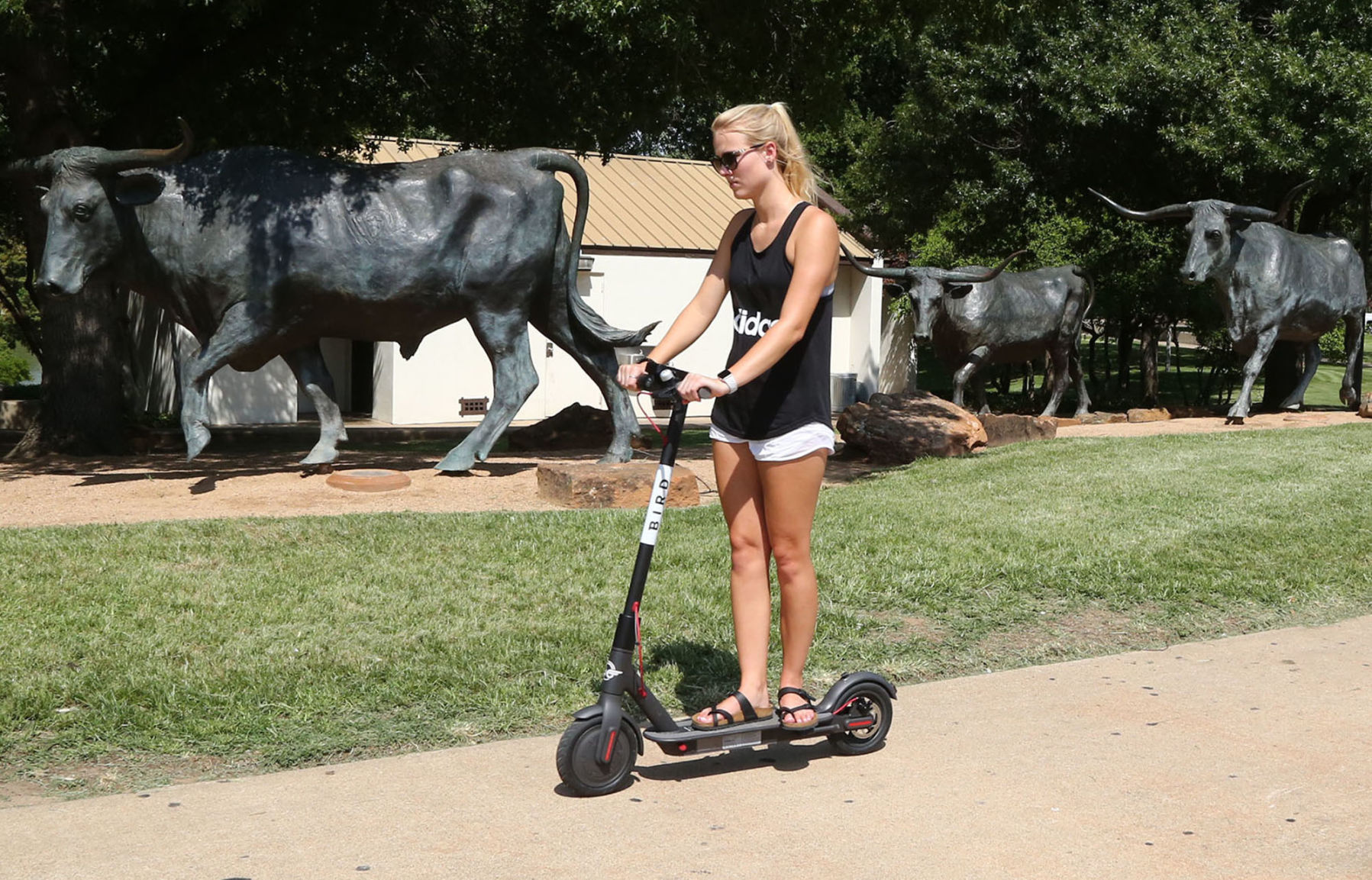 Scooters